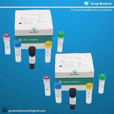 Vírus Monkeypox (MPV) Kit de Detecção de Ácido Nucleico Kit de Teste Rápido para Casa Kit de PCR em Tempo Real
