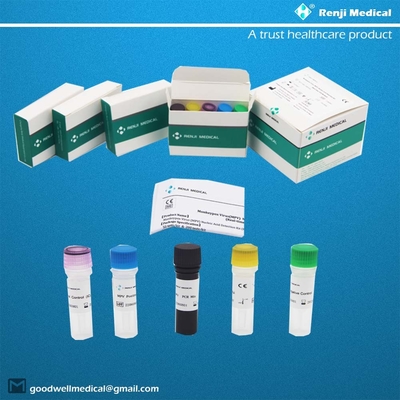 Vírus Monkeypox (MPV) Kit de Detecção de Ácido Nucleico Kit de Teste Rápido para Casa Kit de PCR em Tempo Real