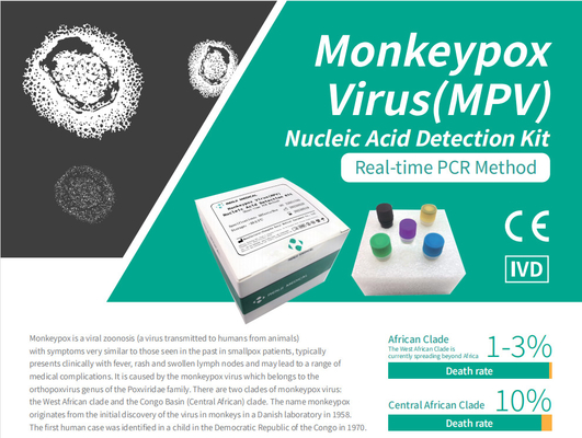 Vírus Monkeypox (MPV) Kit de Detecção de Ácido Nucleico Kit de Teste Rápido para Casa Kit de PCR em Tempo Real