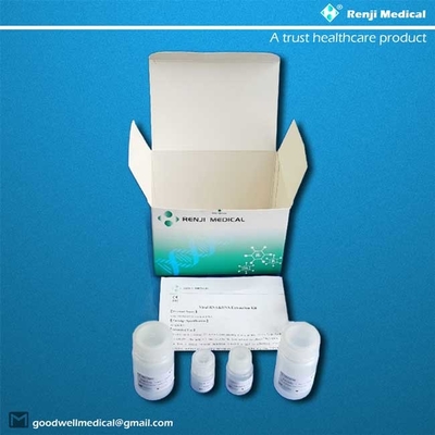 extração ácida nucleica Kit Silica Based Membrane Technology de 50 testes