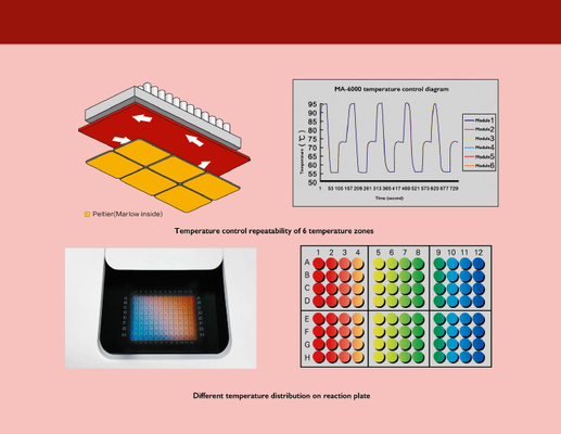 Máquina ácida nucleica da extração de MSDS, máquina quantitativa do PCR do tempo real MA6000