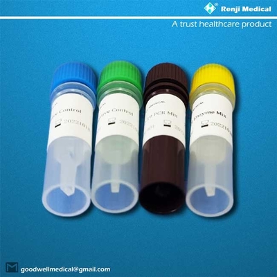 Certificação do GV de ORF1ab/N Gene Novel Coronavirus Testing Kit