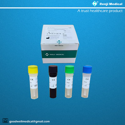 Kit de teste de ácido nucléico novo coronavírus COVID-19 teste qualitativo CE Rt PCr